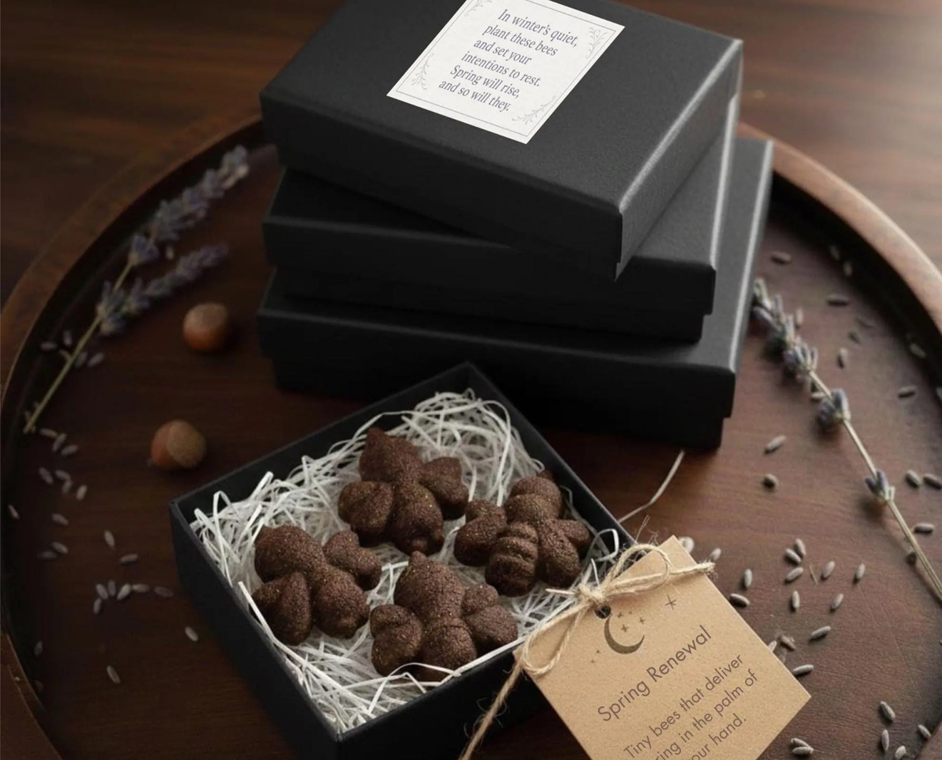 Seasonal Bee Seed Bomb Collection - Four Seasons, Sixteen Bees